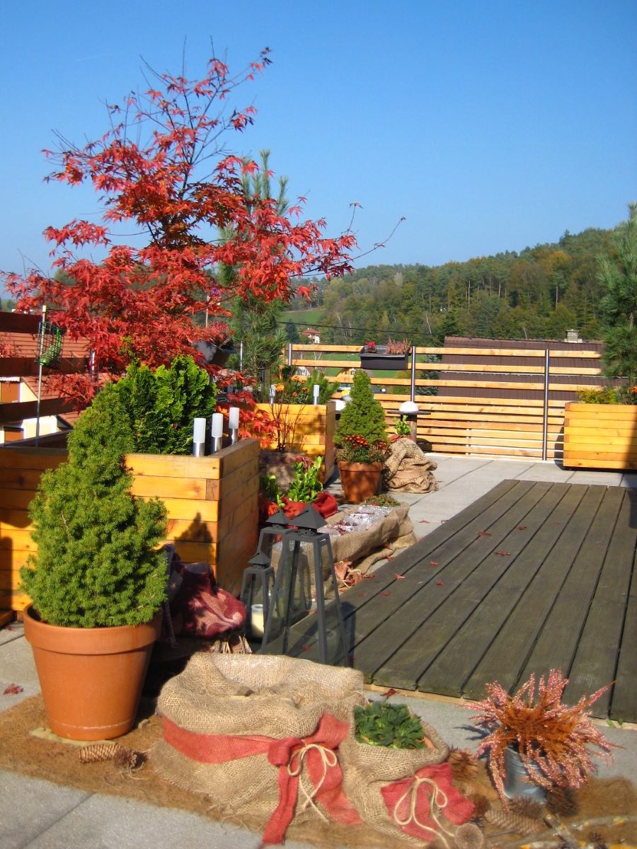 Der Herbst ist die Jahreszeit mit den schönsten Rottönen im Garten.