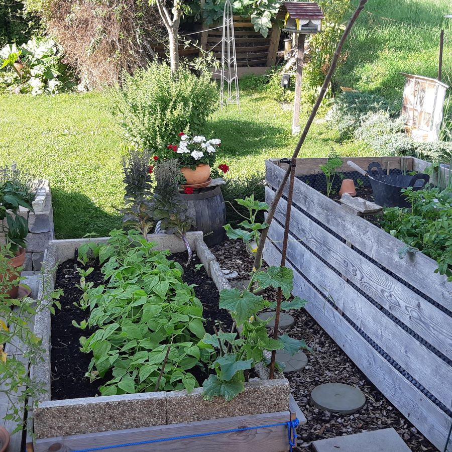 Die Kompost Miete ist ganz in der Nähe des Gemüse Garten. So kann der Dünger für den Garten auch schnell vom Kompost geholt werden.